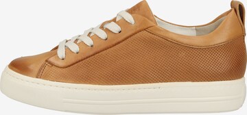 Paul Green Sneakers laag in Bruin