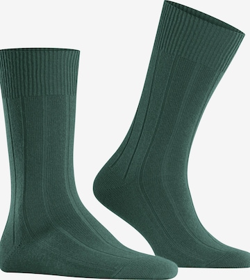 FALKE Socks 'Lhasa Rib' in Green: front