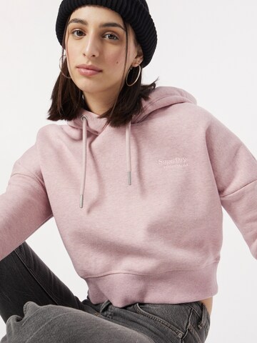 Superdry Sweatshirt in Pink