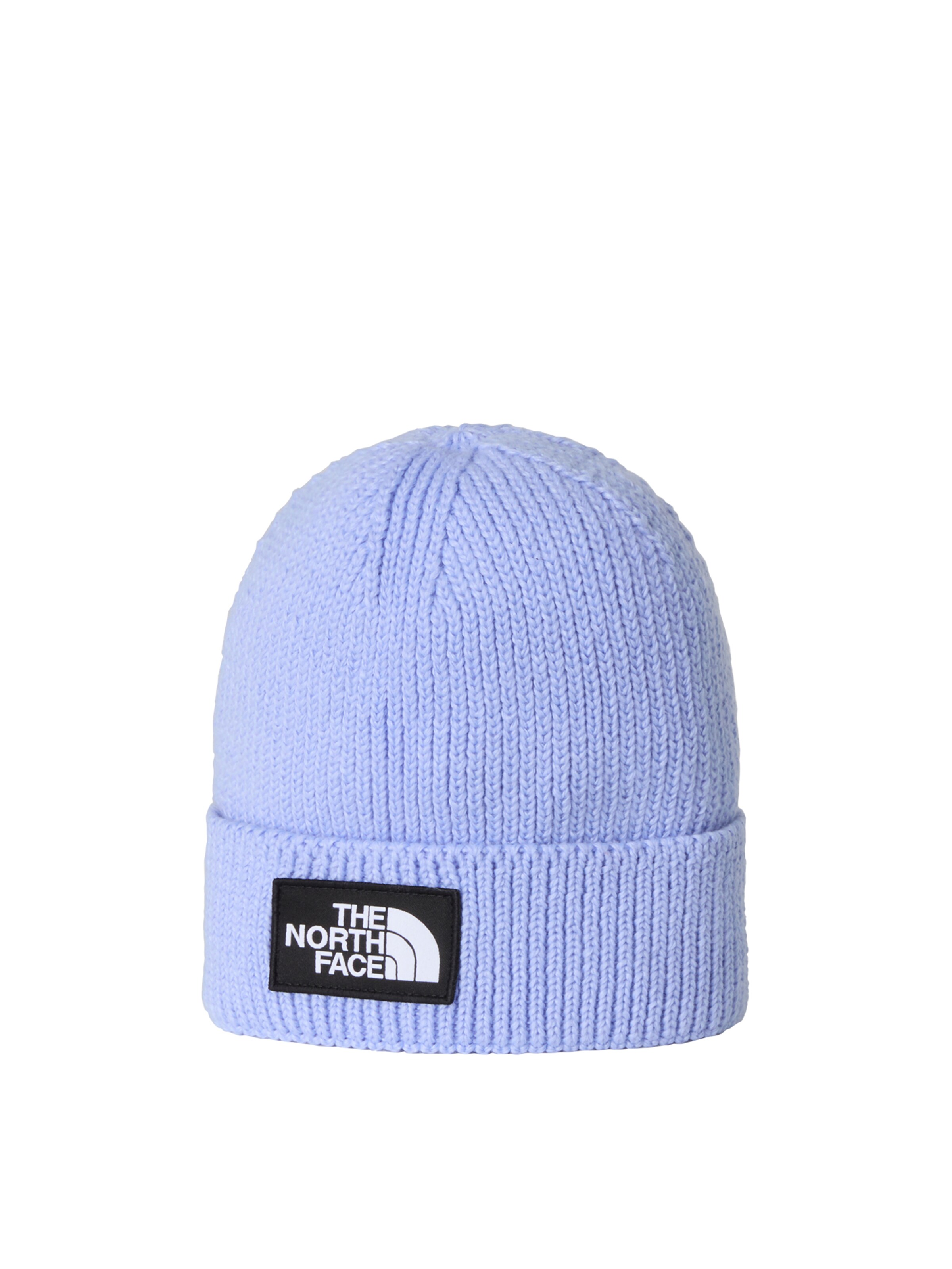 mėlyna THE NORTH FACE Megzta kepurė: priekis