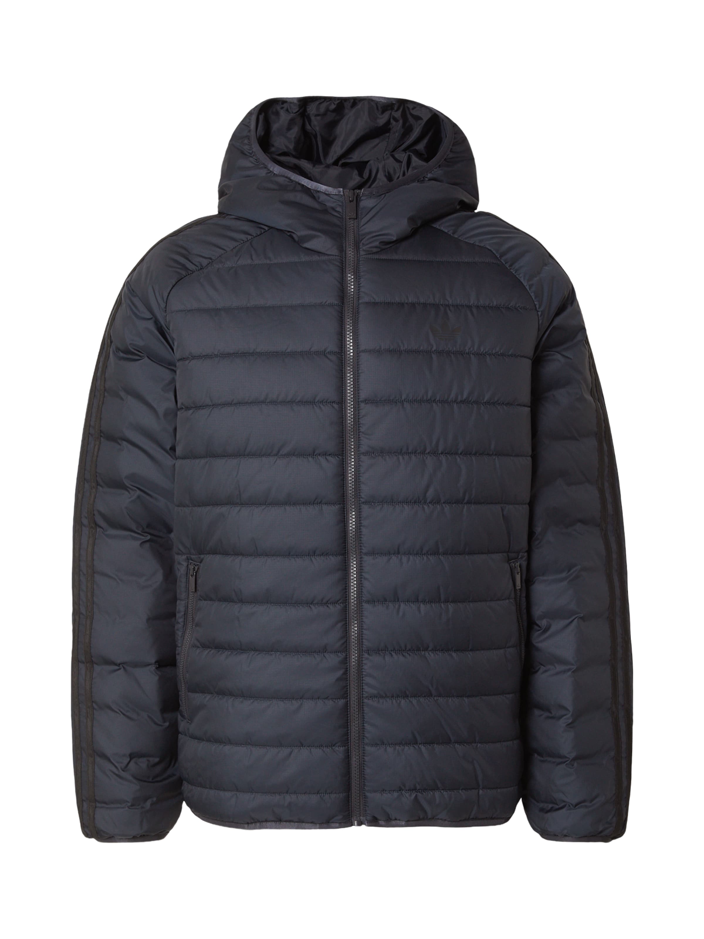 Giacca invernale di ADIDAS ORIGINALS in grigio: frontale