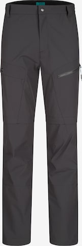 LPO Regular Athletic Pants 'Zip-Off Colin' in Grey: front