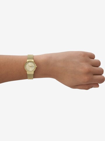 SKAGEN Analog Watch in Gold: front