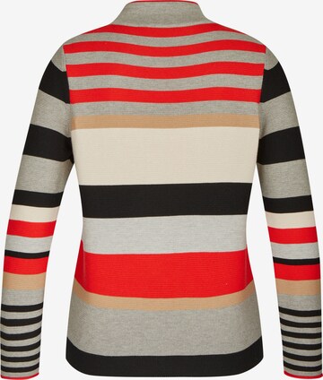 Rabe Sweater in Mixed colors