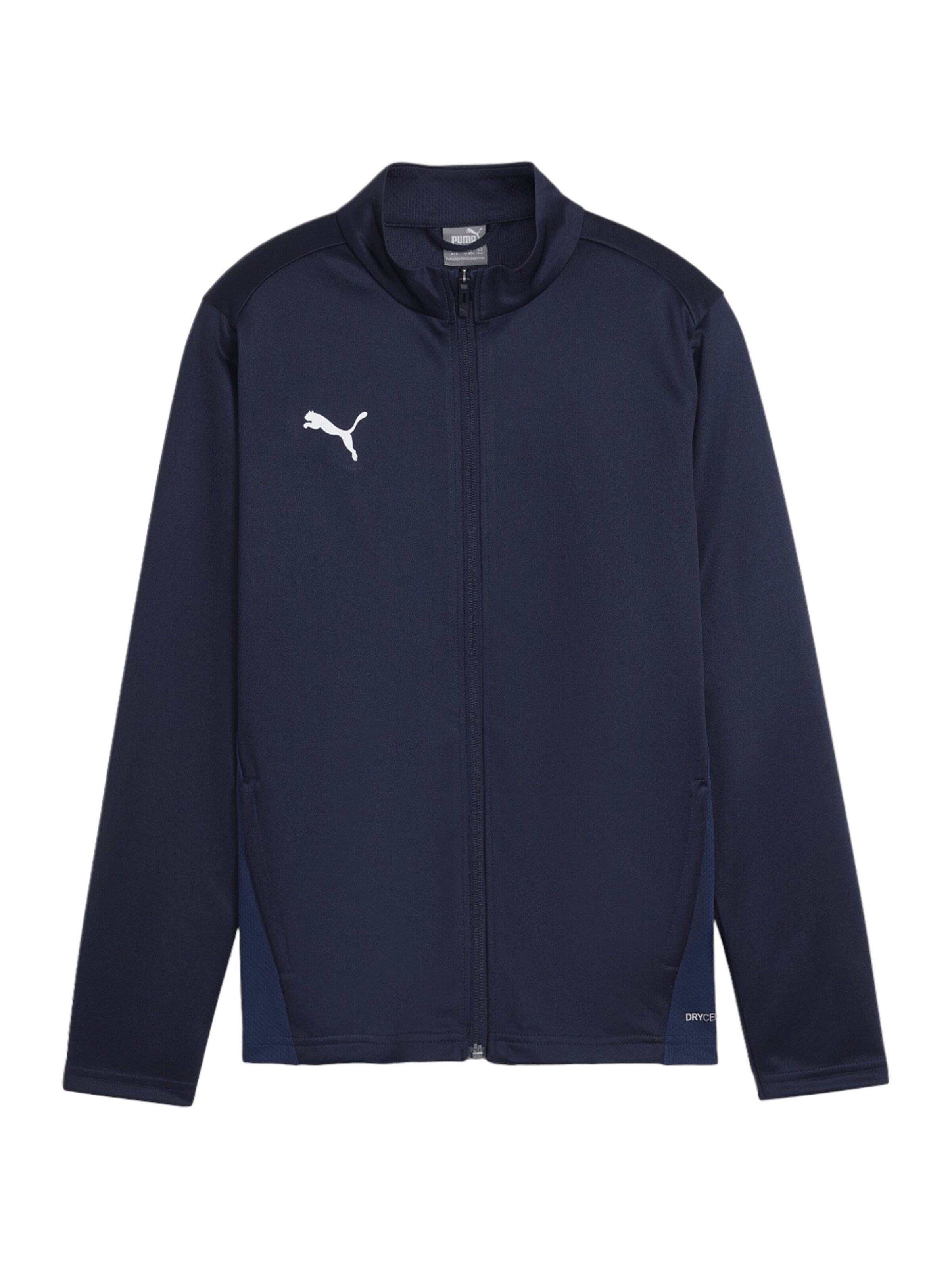 PUMA Trainingsjacke 'TeamGoal' in Blau: Vorderseite