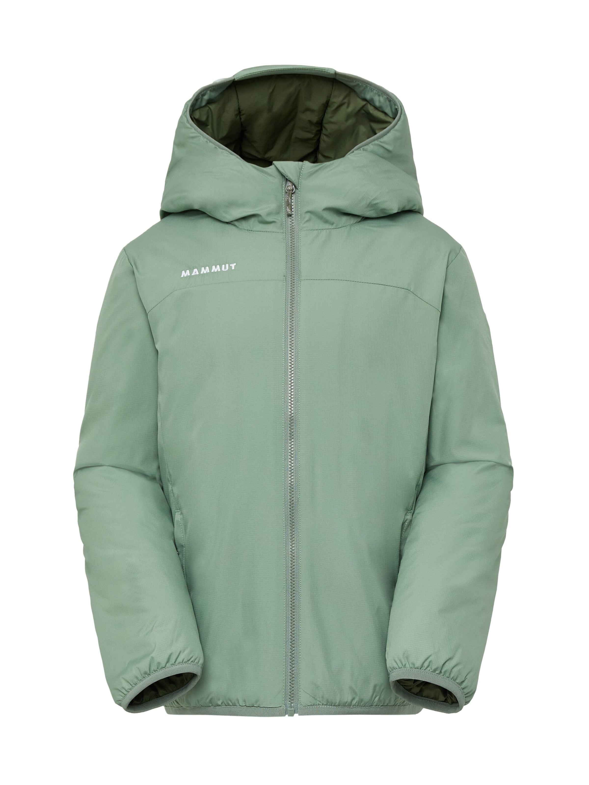MAMMUT Outdoor jacket 'Rime IN' in Green: front