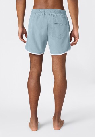 Champion Board Shorts in Blue