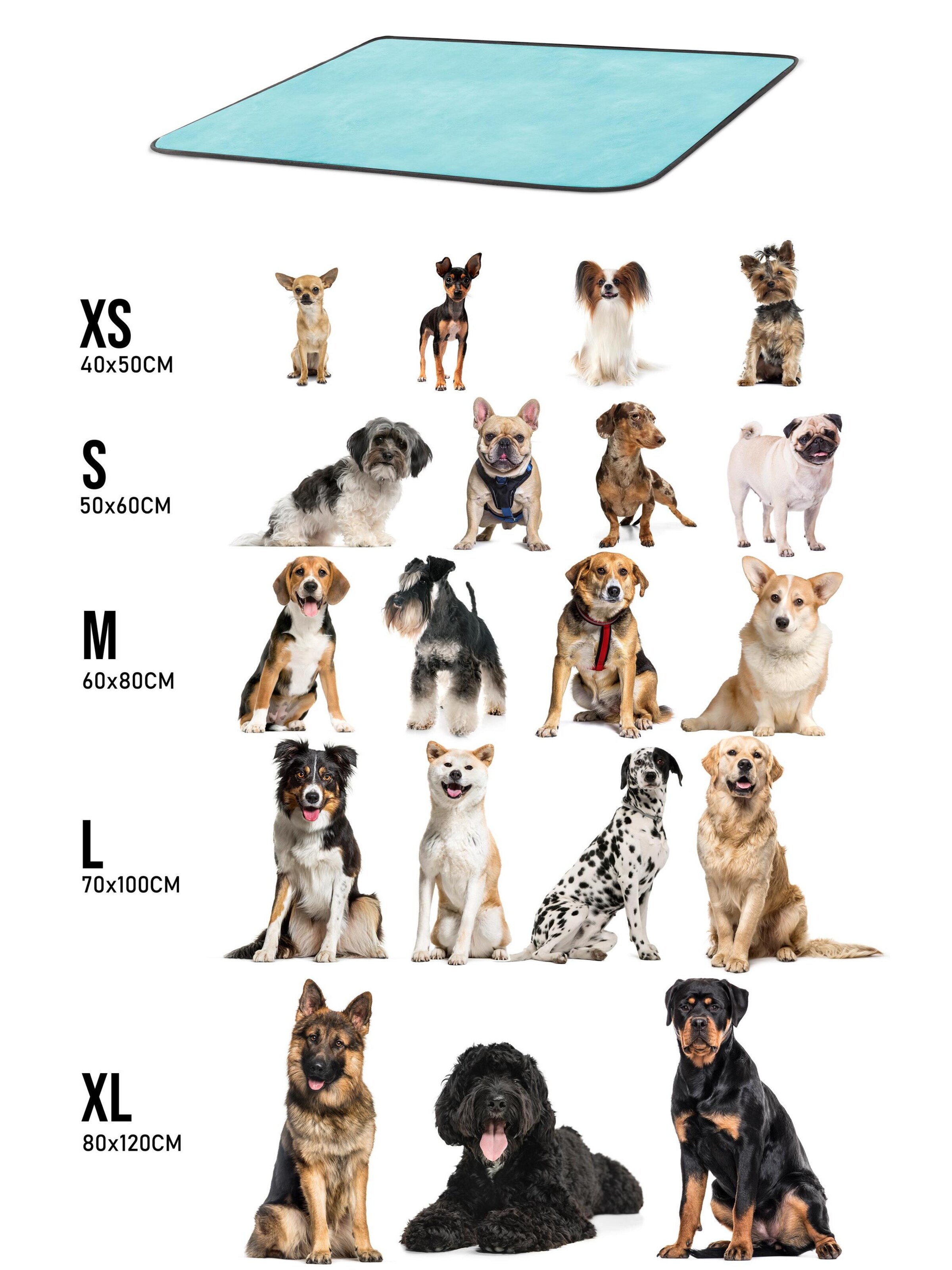 Aspero Hundedecke 'Lund' in Blau