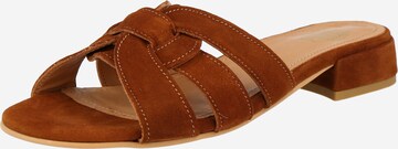 Apple of Eden Mules in Brown: front