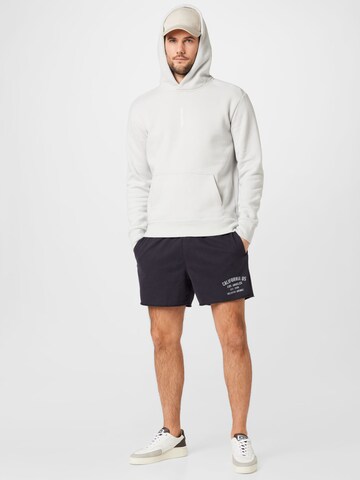 HOLLISTER Sweatshirt in Grau