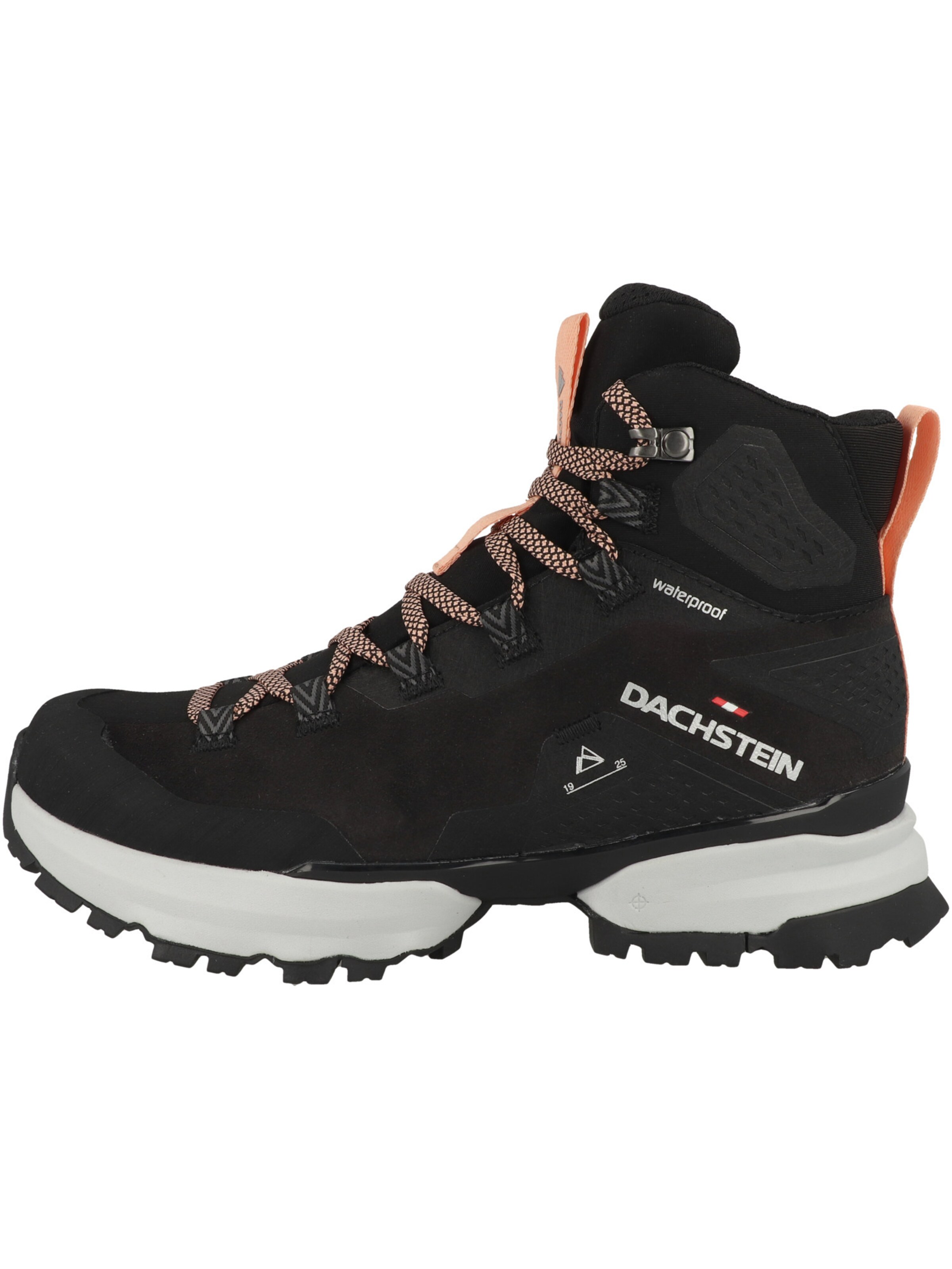 Sneaker alta di Dachstein in nero