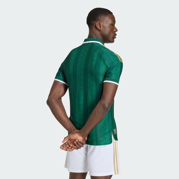 ADIDAS PERFORMANCE - Camiseta de fútbol 'Südafrika 26 Authentic' en verde