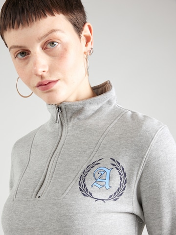 AÉROPOSTALE Sweatshirt in Grau