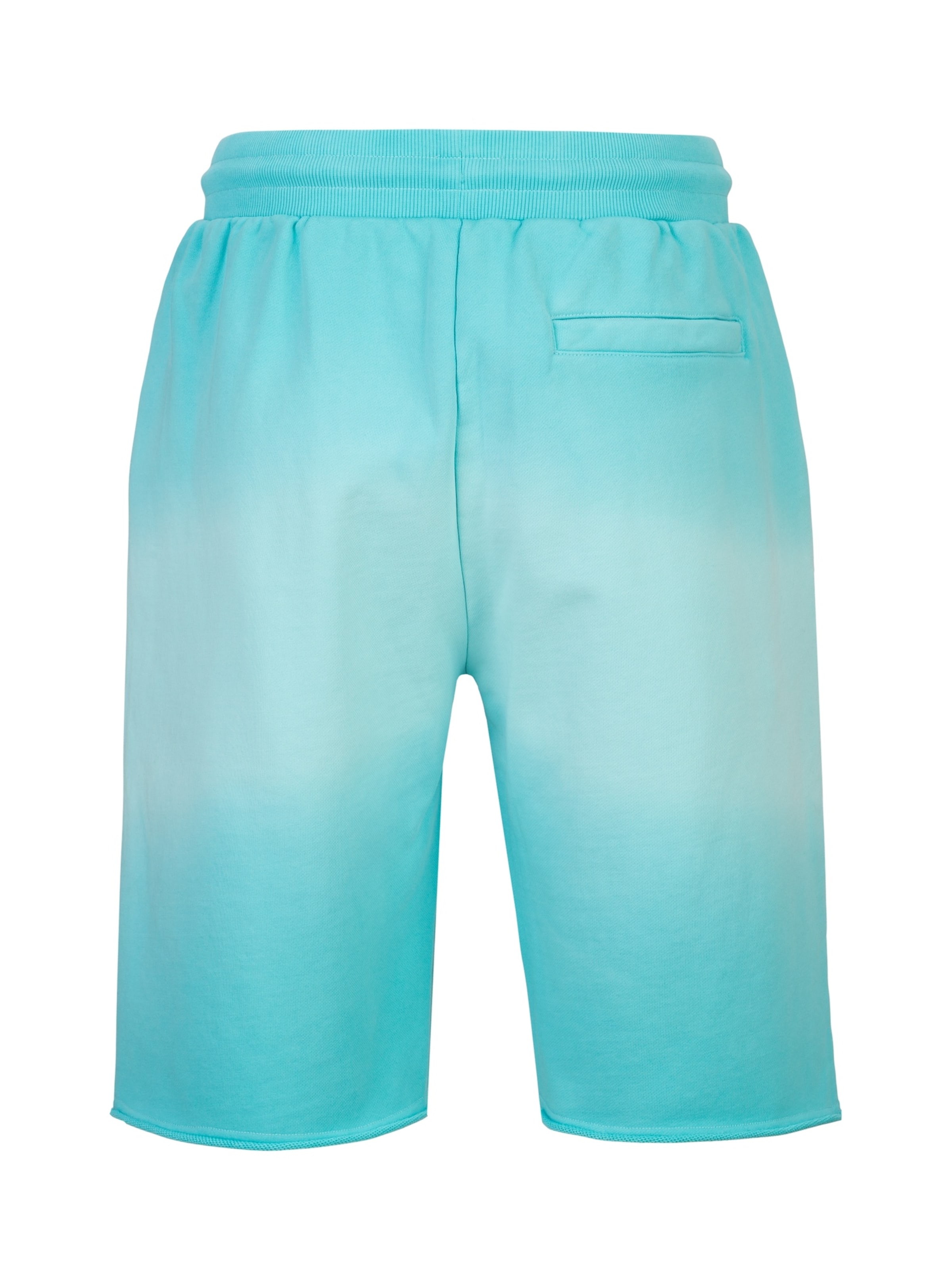19V69 ITALIA Regular Broek 'Meo Dip' in Groen