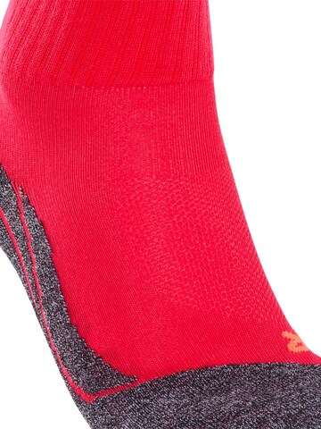 FALKE Athletic Socks 'TK2 Explore Cool Short' in Pink