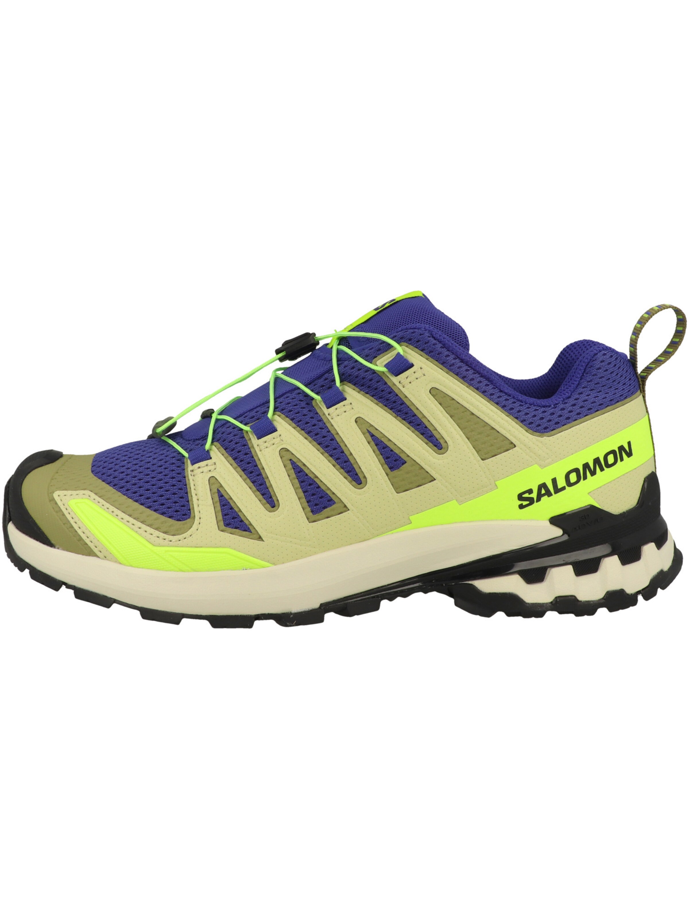 SALOMON Laufschuhe ' XA Pro 3D V9' in Blau: Seite
