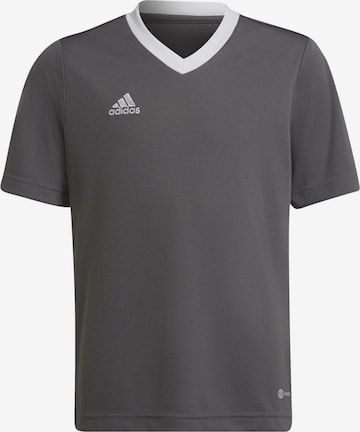 ADIDAS PERFORMANCE Funktionsshirt 'Entrada 22' in Grau: predná strana