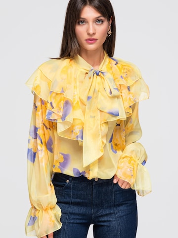 Ombre Blus i gul: framsida