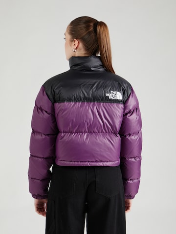 THE NORTH FACE Tussenjas 'NUPTSE' in Lila