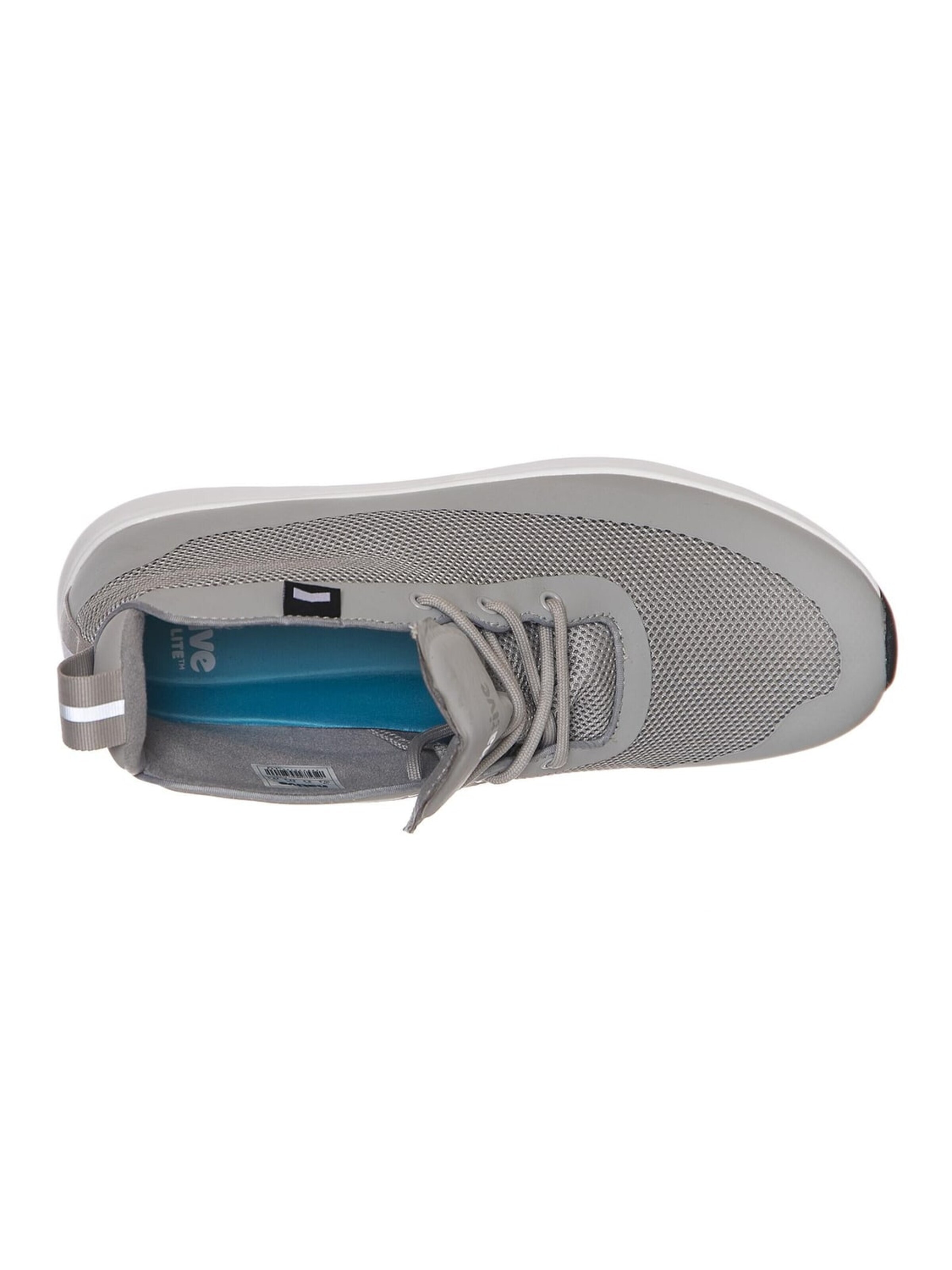 Chaussure de sport à lacets 'Apollo Rover' NATIVE en gris