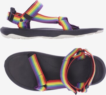 TEVA Sandalen 40 in Mischfarben: predná strana