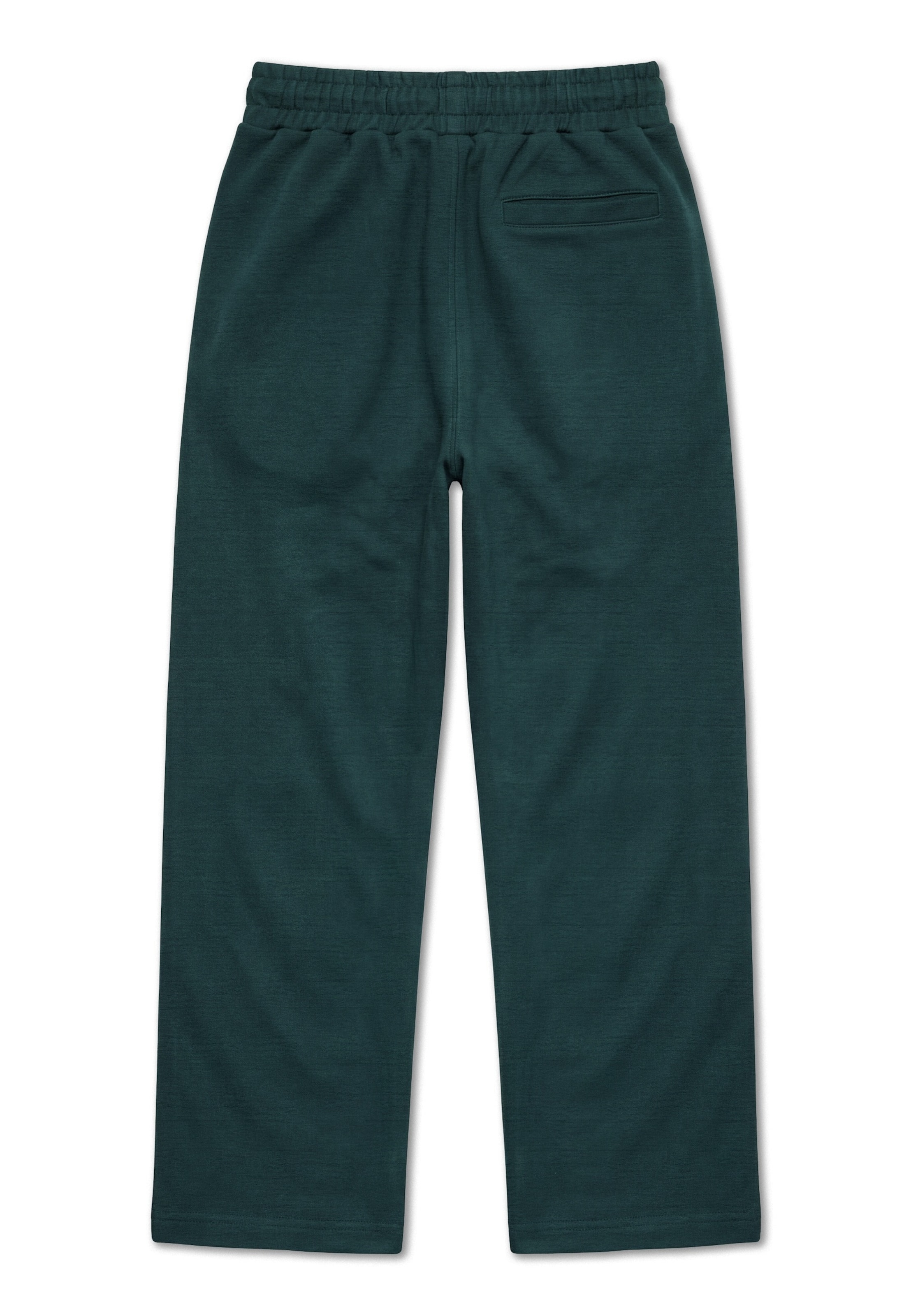 Loosefit Pantalon Pegador en vert