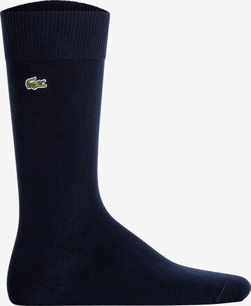 Chaussettes LACOSTE en gris