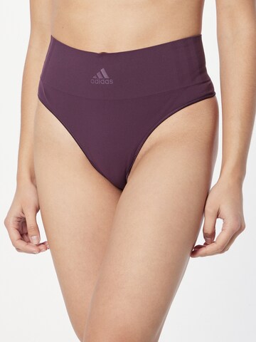 ADIDAS SPORTSWEAR - Cueca desportiva em roxo: frente