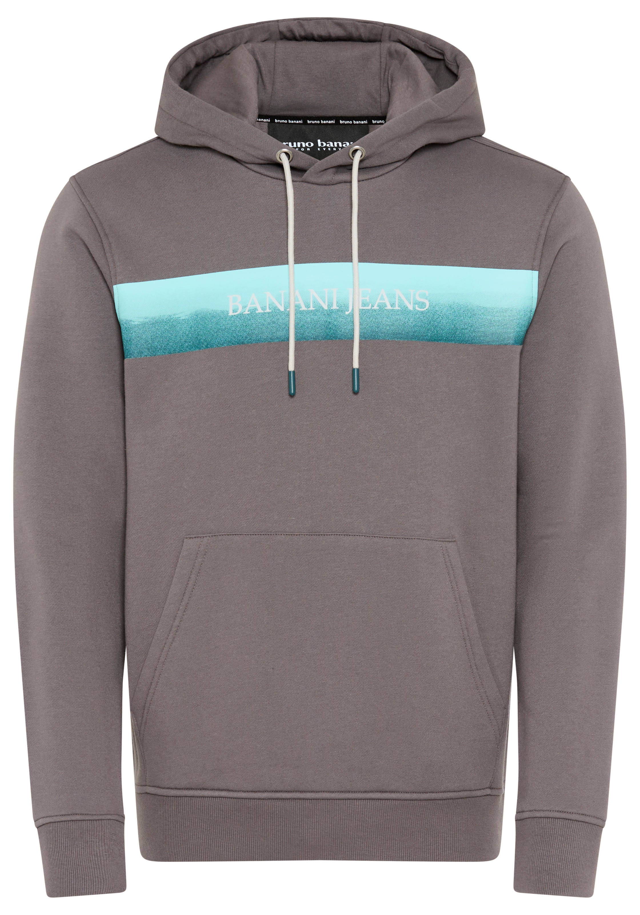 Bruno Banani LM Sweatshirt in Grey: front