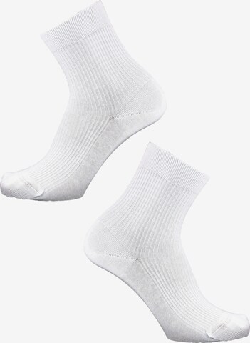 ROGO Socks in White