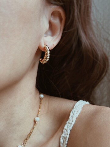 Kamakula Earrings 'Twisted Croissant' in Gold