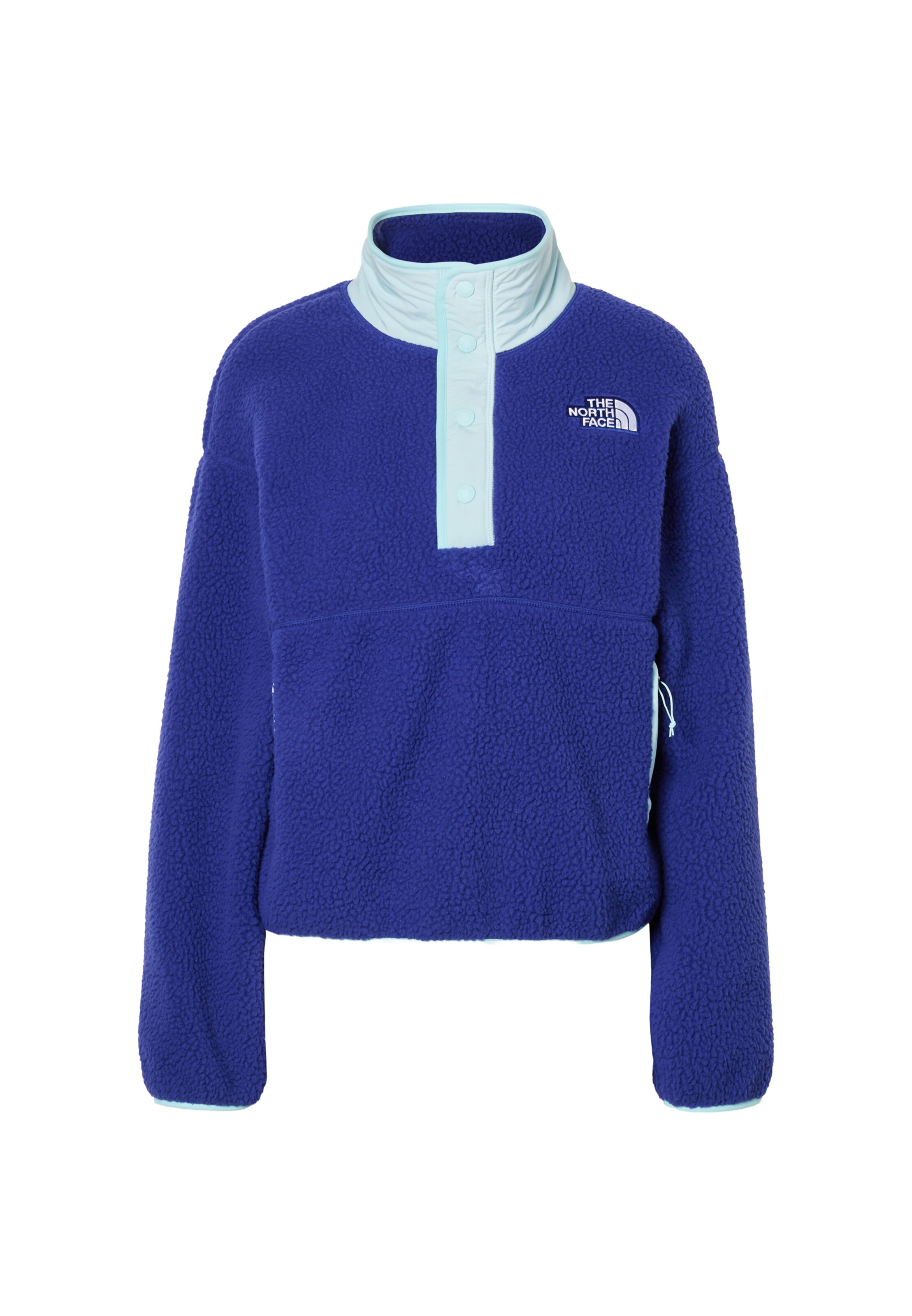 THE NORTH FACE Sporttrui 'Cragmont' in Blauw: voorkant