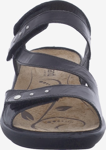 Westland Sandals 'Ibiza' in Black