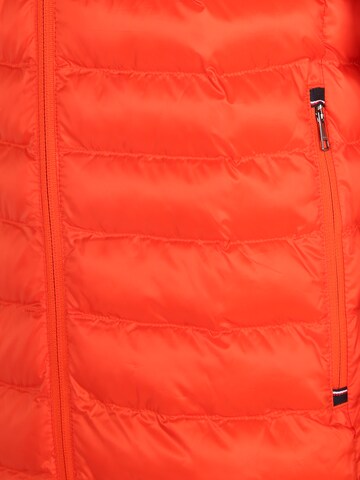 Regular Gilet TOMMY HILFIGER en orange