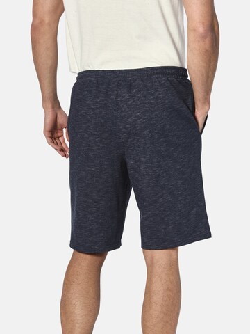 Jan Vanderstorm Regular Broek 'Jornrik' in Blauw