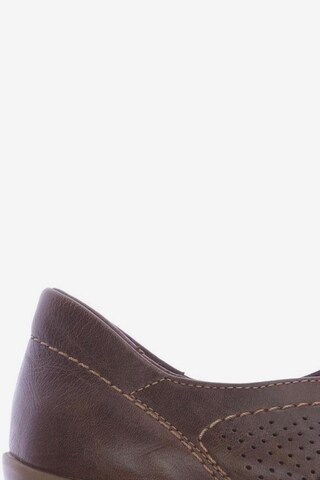 ARA Flats & Loafers in 39,5 in Brown