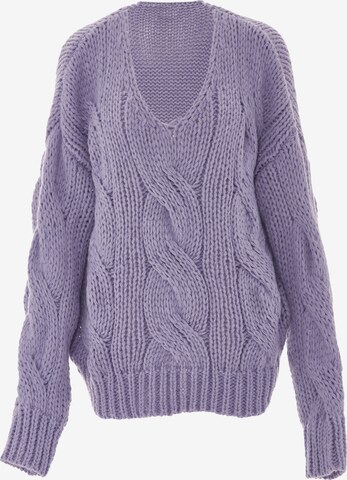 ebeeza Sweater in Purple: front