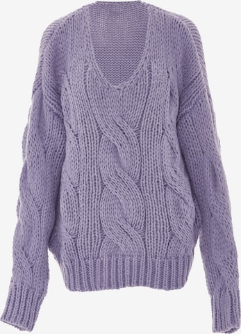 ebeeza Sweater in Purple: front