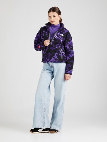 THE NORTH FACE Sweater 'FLEESKI' in Purple