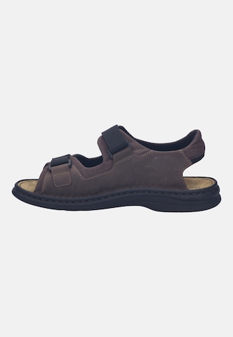 JOSEF SEIBEL Sandal in Brown