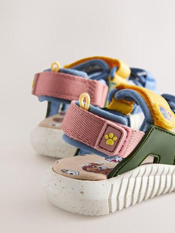 Next Open schoenen 'Paw Patrol' in Blauw