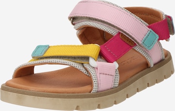 Froddo Sandals 'Ke Flash' in Pink: front