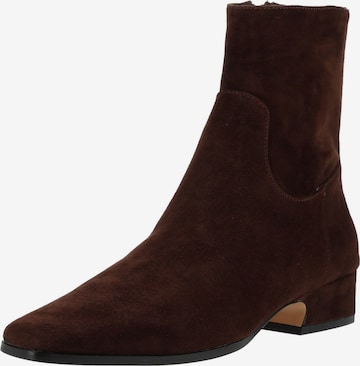 STEVE MADDEN Ankle Boots in Braun: Vorderseite