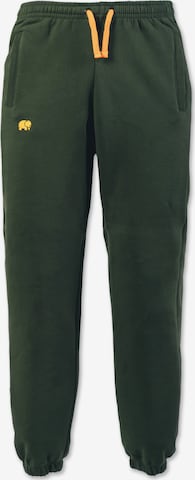 Trendsplant Regular Urheiluhousut ' ESSENTIAL ' värissä vihreä: etupuoli