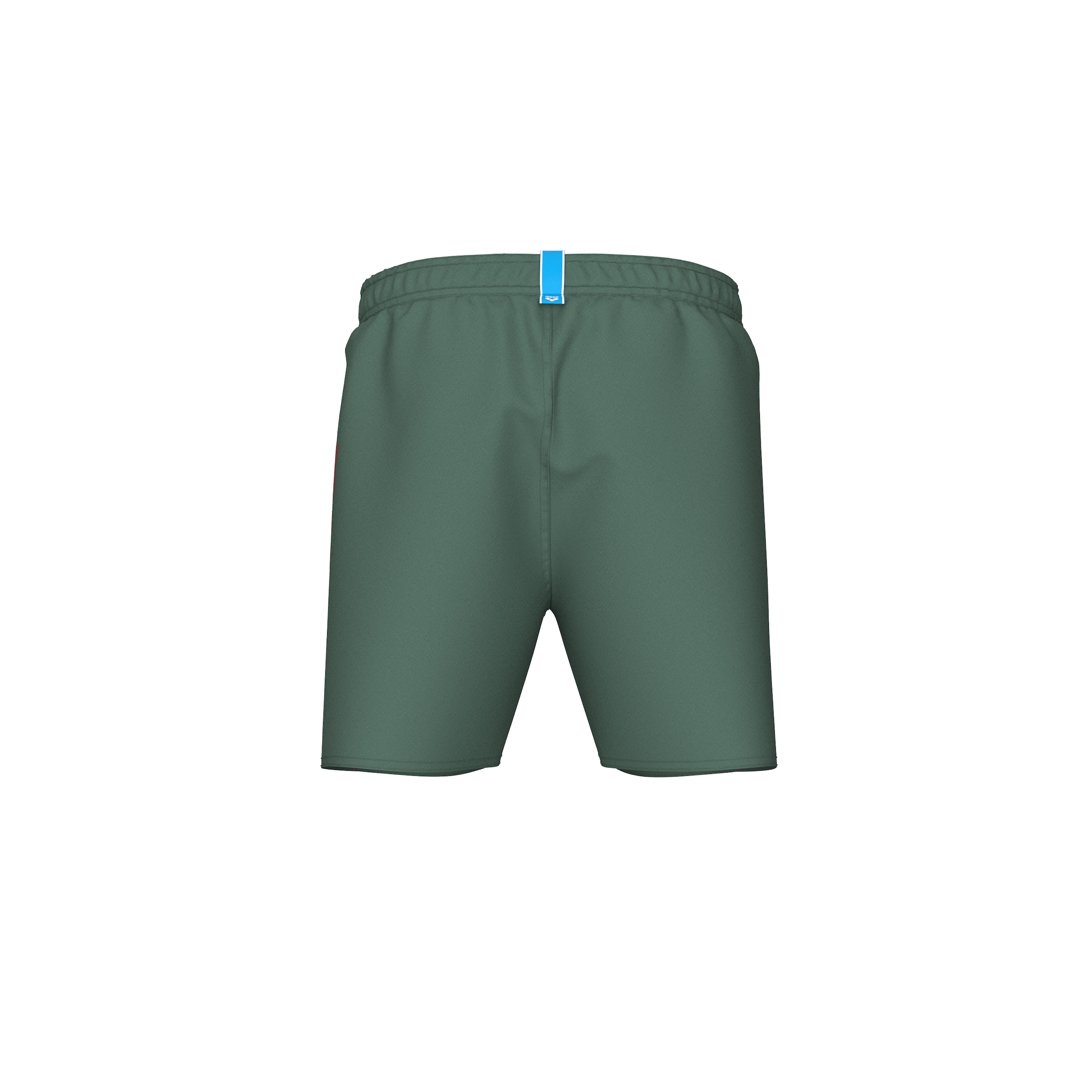 ARENA Badeshorts in Grün
