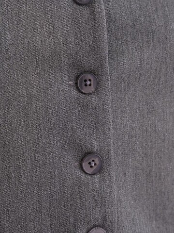 Gilet di MixRay in grigio
