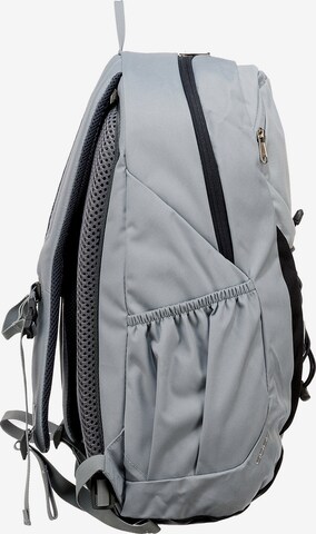 DEUTER Backpack 'Gogo' in Grey