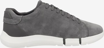 GEOX Sneaker 'U Adacter A' in Grau