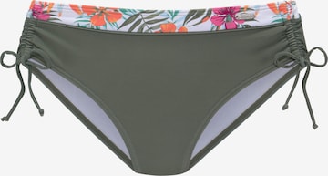 VENICE BEACH Bikini Bottoms in Green: front