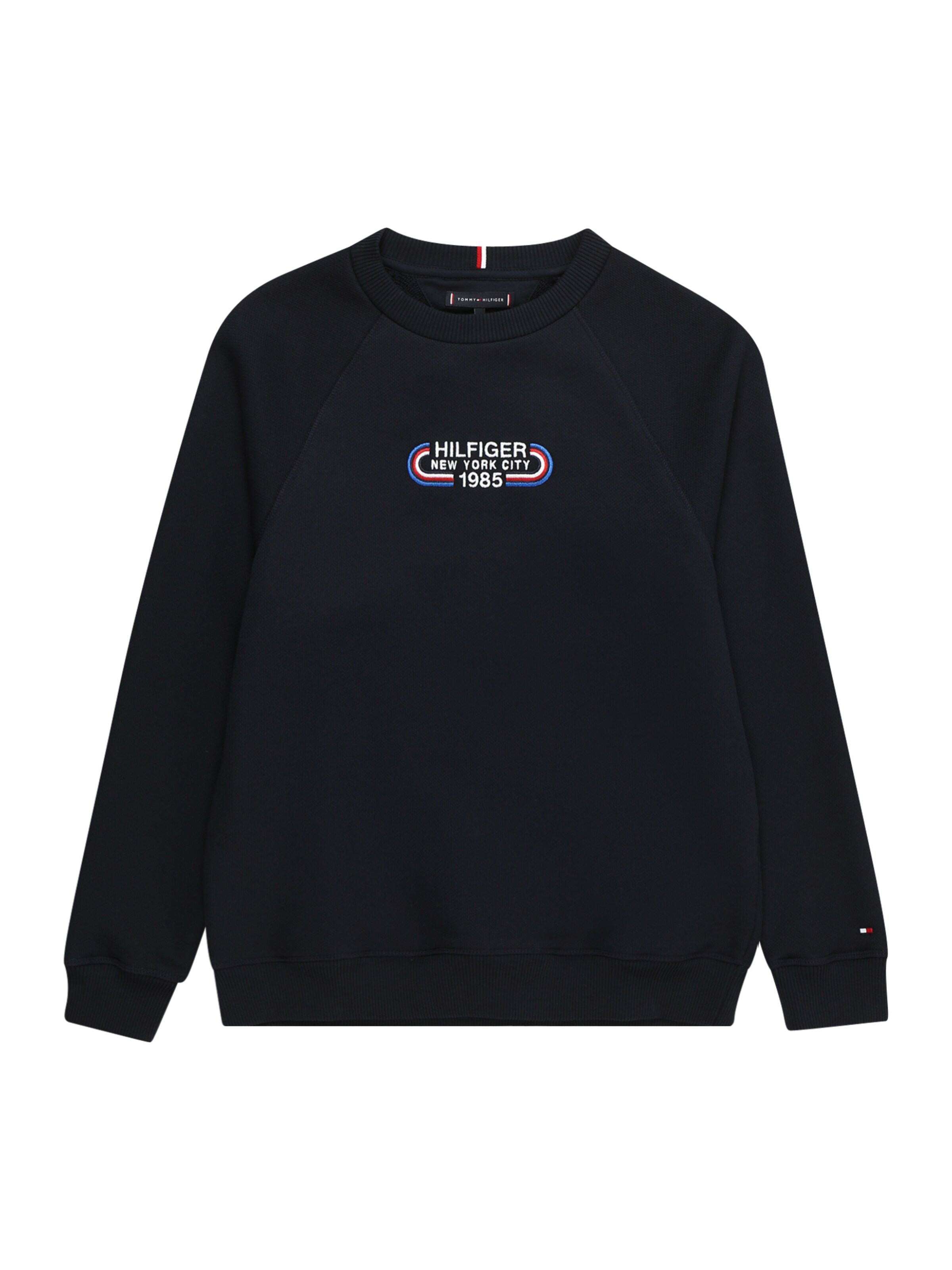 TOMMY HILFIGER Sweatshirt in Blue: front